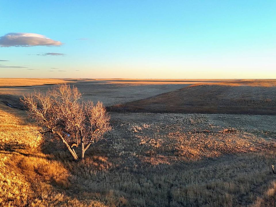 1st image of Tbd County Road 169
