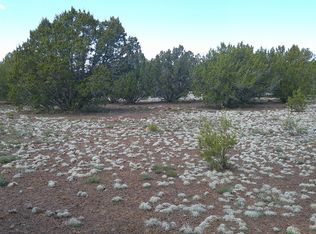 17 County Road 3199 #185, Vernon, AZ 85940