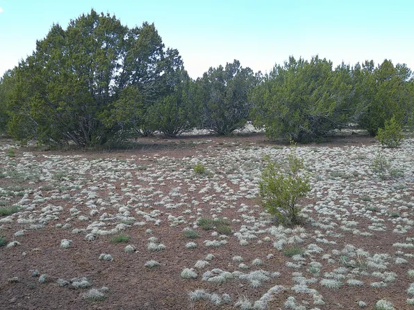 17 County Road 3199 #185, Vernon, AZ 85940