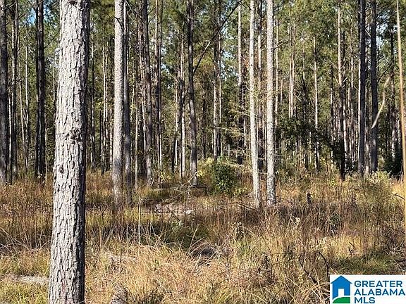 5th image of Us Highway 231