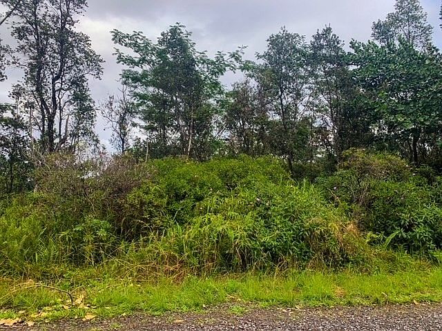 1st image of 5th Ave Lot 2458