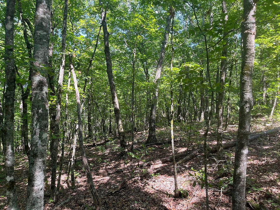 2nd image of 3387 Pine Top Road