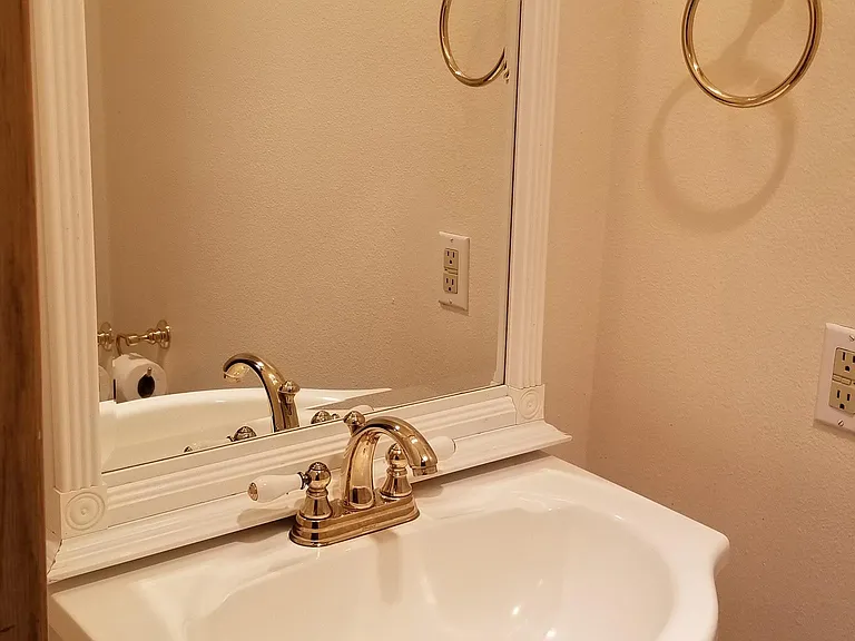 Downstairs half bathroom