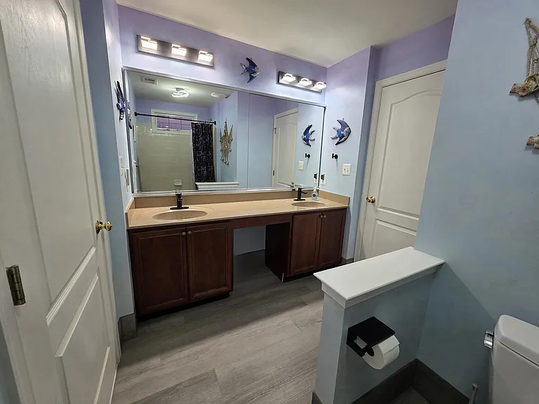Jack and Jill Bathroom