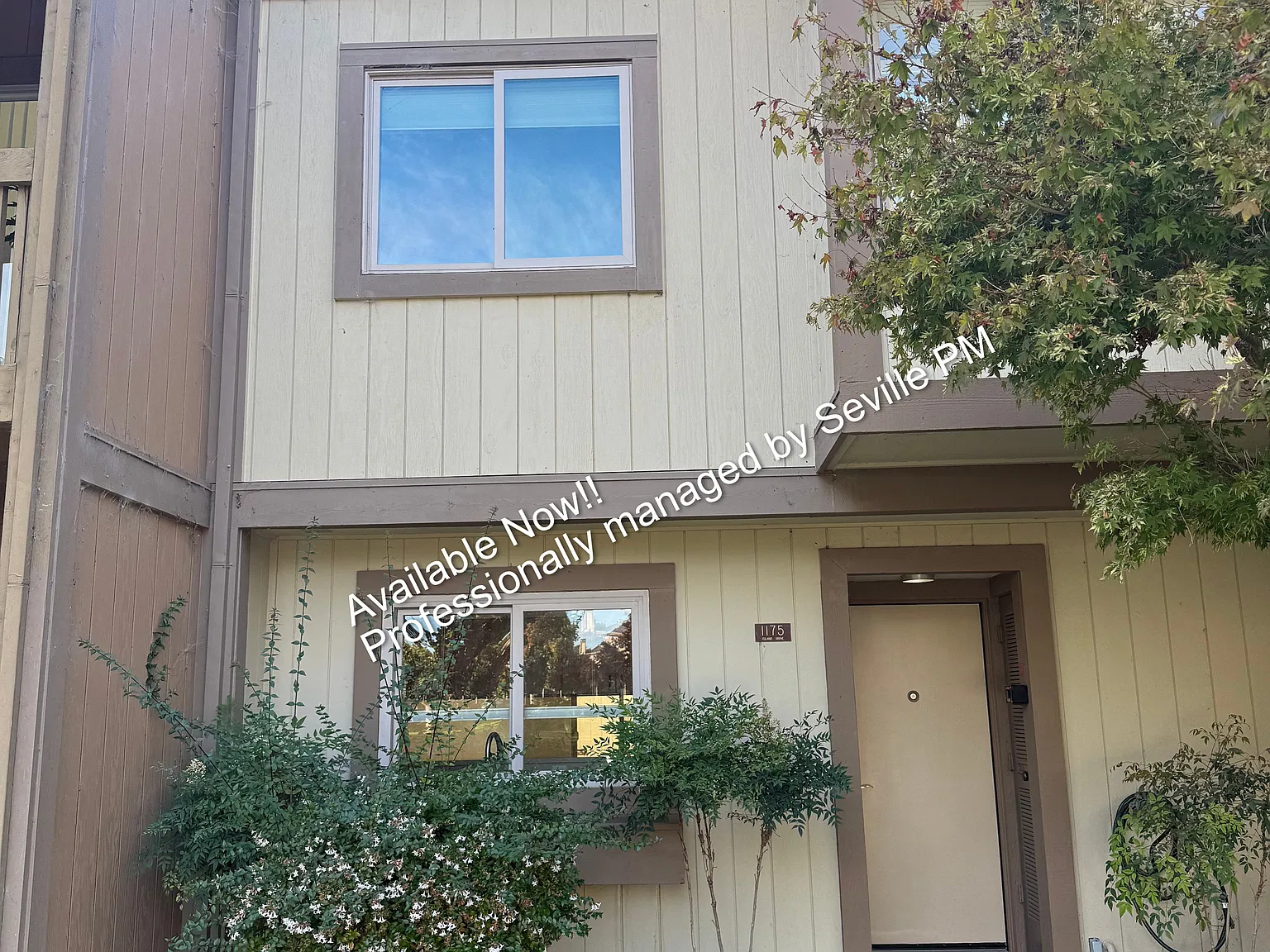 3 bed, 2.5 bath, 1639 sqft, $4,500 — Photo 3