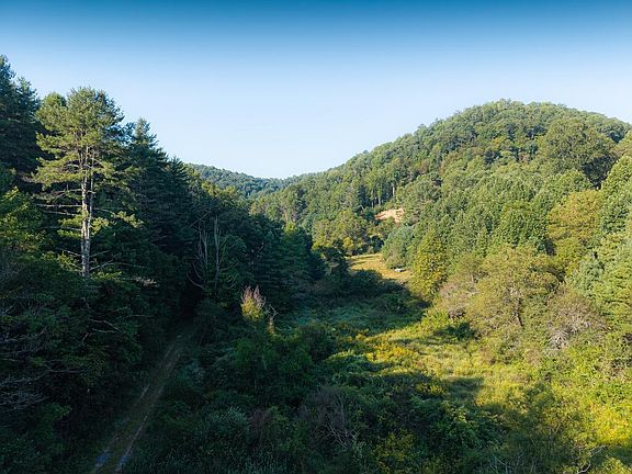 2nd image of 0 Nubbins Ridge Rd