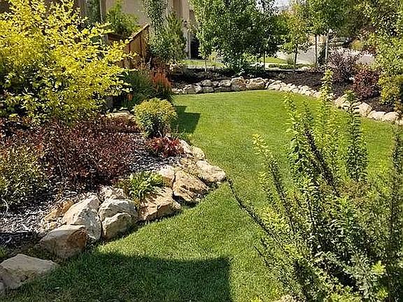 Front Yard