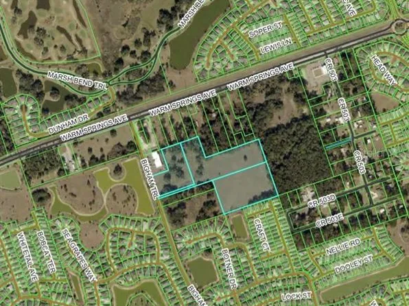 BIGHAM TRAIL, WILDWOOD, FL 34785