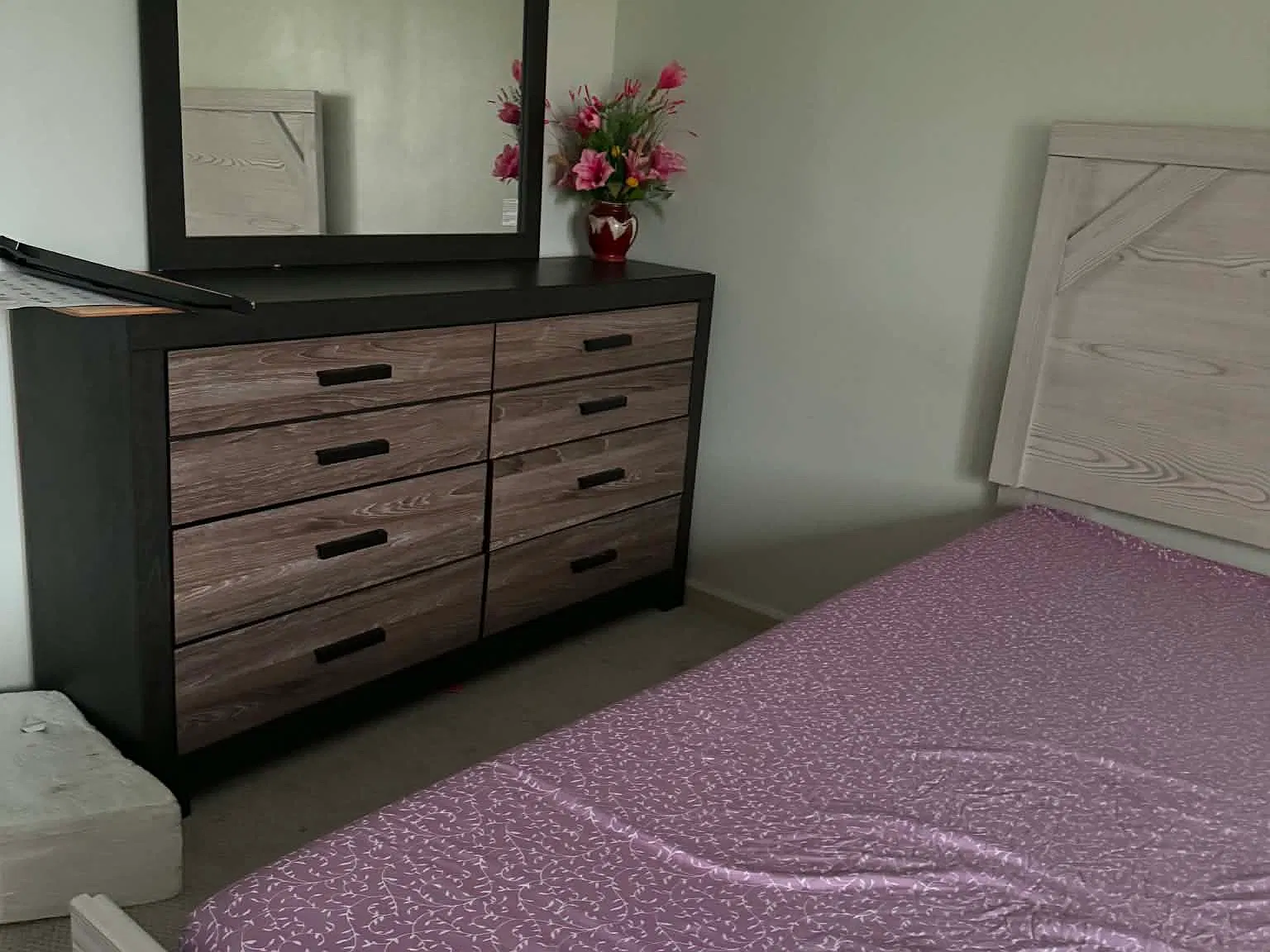 3 bed, $800 — Photo 2