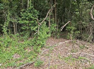 LOT 24 Ellison Rd, Montezuma, GA 31063