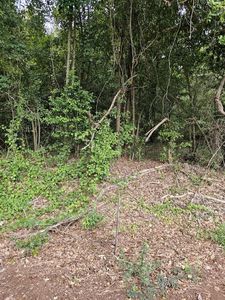 908 Lakeview Dr, Montezuma, GA, 31063