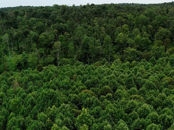 TRACT 9 Cook Ln, Cromwell, KY 42333