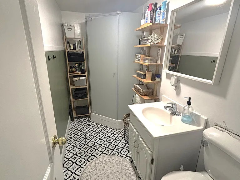 115 Clansman Trl #BASEMENT — Photo 19