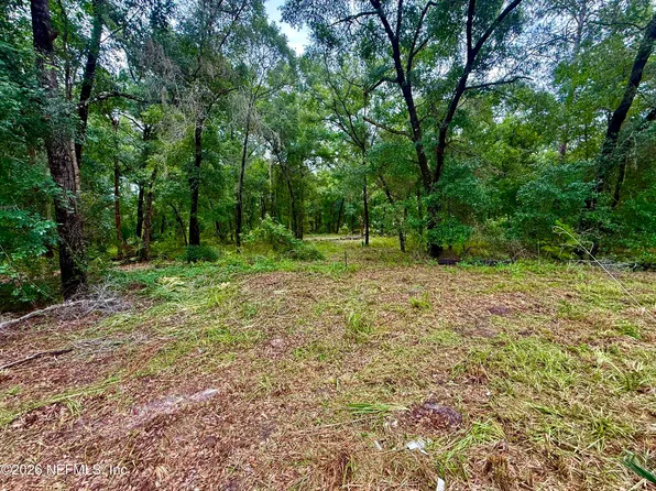 112 PEACH ORCHARD Road, Pomona Park, FL 32181