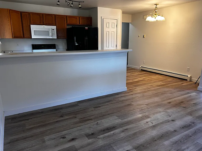 1159 E Carolina Ave #1 — Photo 3