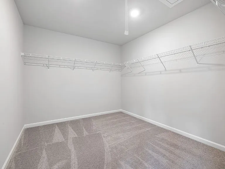 3217 Star Gazing Ln — Photo 5