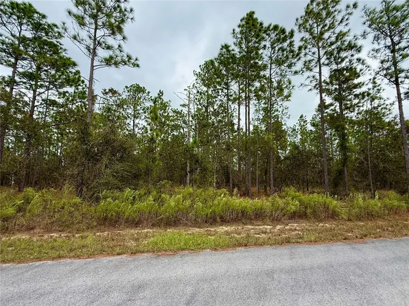 0 NW Alvarez Rd, Dunnellon, FL 34431