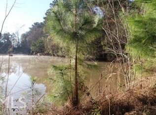 0 Ronnie McLeod Rd, Reidsville, GA 30453