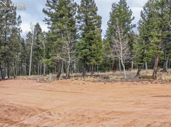 278 Cherry Lake Dr, Divide, CO 80814