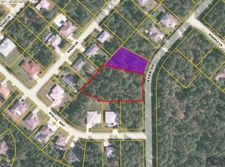 161 Ryan Dr, Palm Coast, FL 32164