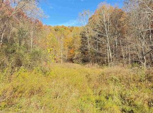 Tenmile Rd, Wallace, WV 26448