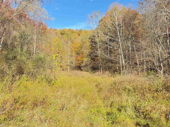 Tenmile Rd, Wallace, WV 26448