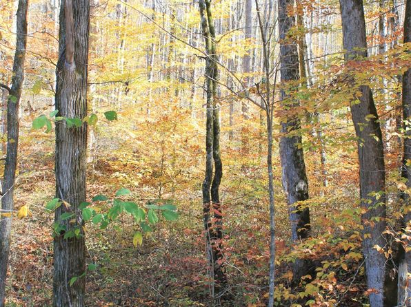 4440 Reed Creek Rd, Pall Mall, TN 38577