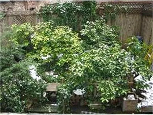 Rented by Douglas Elliman | media 16