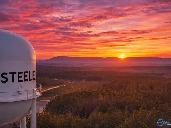 Steele Station Rd, Steele, AL 35987