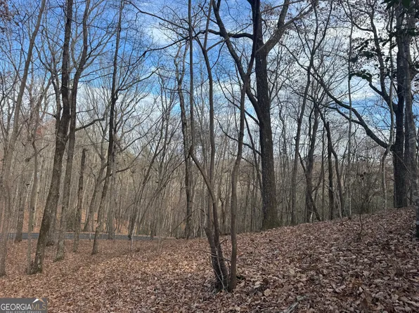 0 Geneva Pl, Sautee Nacoochee, GA 30571