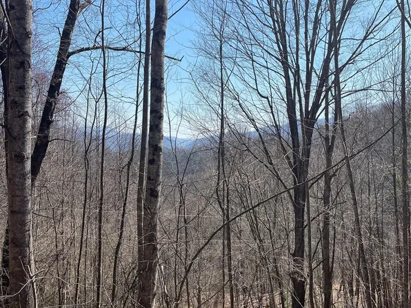 0 Trotters Trl, Waynesville, NC 28785