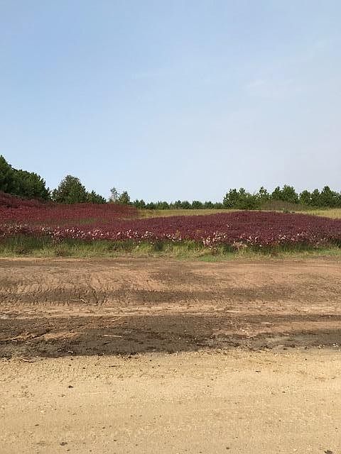 2nd image of Pine Bluff Rd NW #Site13