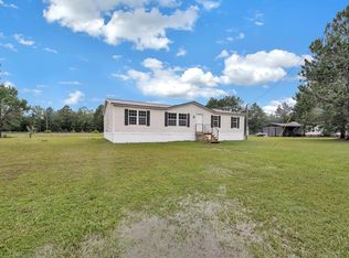 151 Mary Ct NE, Ludowici, GA 31316