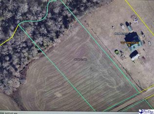 Tbd Timmons Rd, Effingham, SC 29541