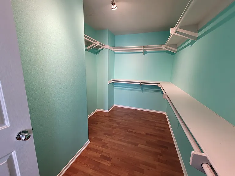 Master large walk in closet