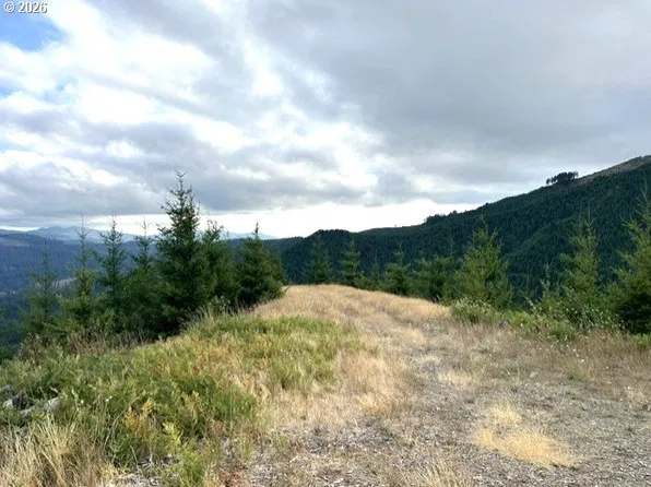 Northforkgalescreek, Timber, OR 97144