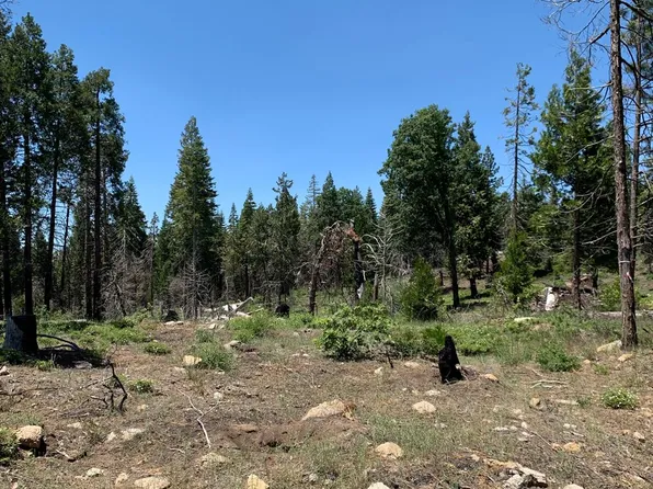 1 Shaver Ln, Auberry, CA 93602
