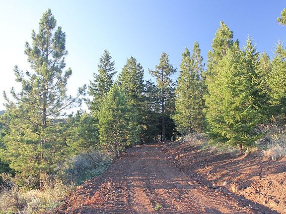 2015 Dragonfly Lane