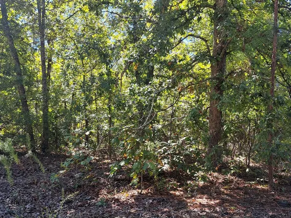 1 Ripley Ct, Elloree, SC 29047