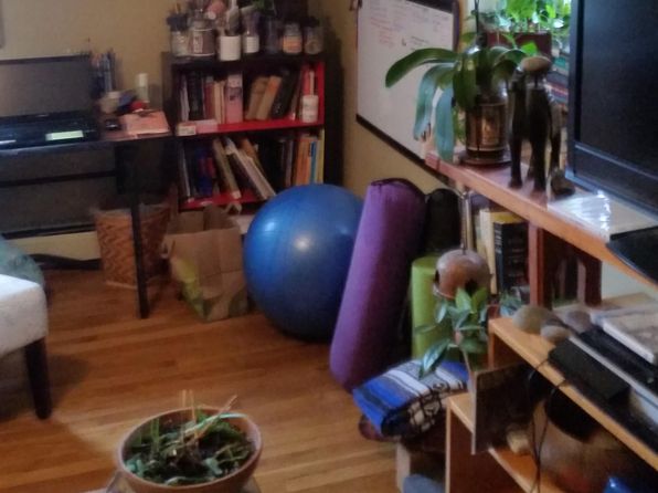 932 E College St APT 3
