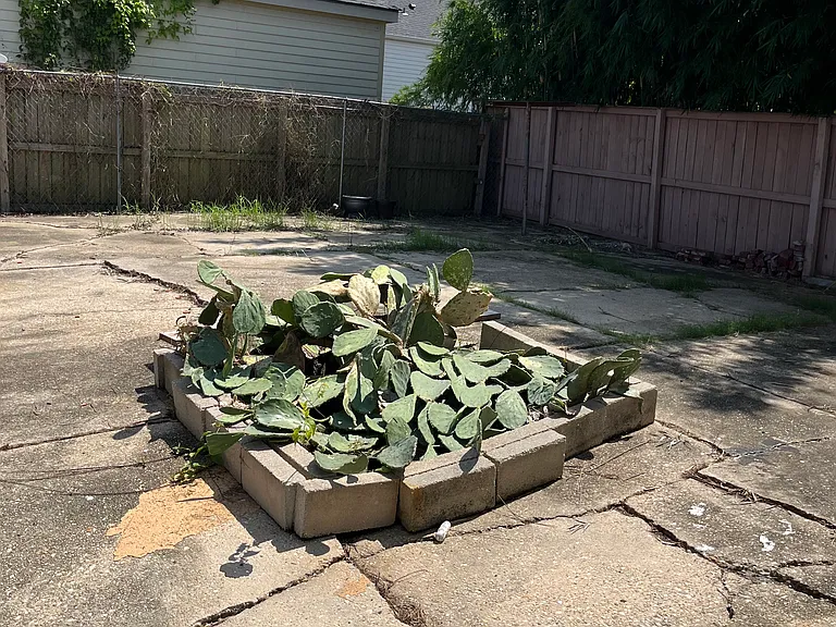 1224 S Salcedo St — Photo 6