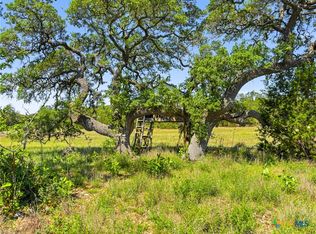 163 N Stallion Estates Dr, Spring Branch, TX 78070