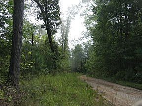 1st image of 5813 Colvin Gap Rd
