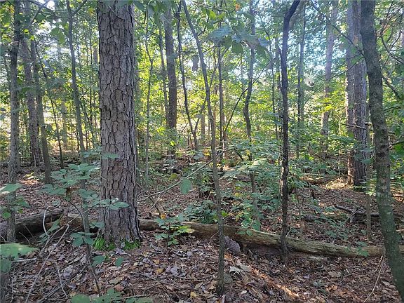 3rd image of LOT 1128 Bunker Ln