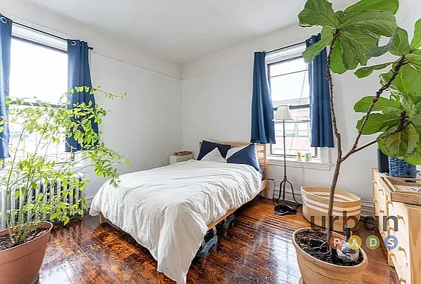 Rented by Urban Pads | media 5