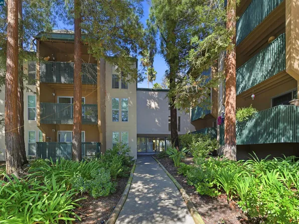 185 Sierra Dr APT 203, Walnut Creek, CA 94596