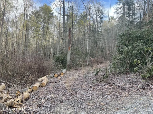0 Holder Cemetery Rd, Tellico Plains, TN 37385