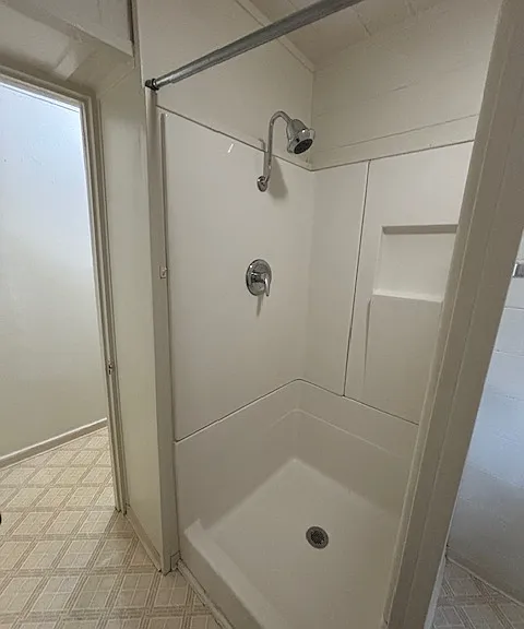 Bathroom shower