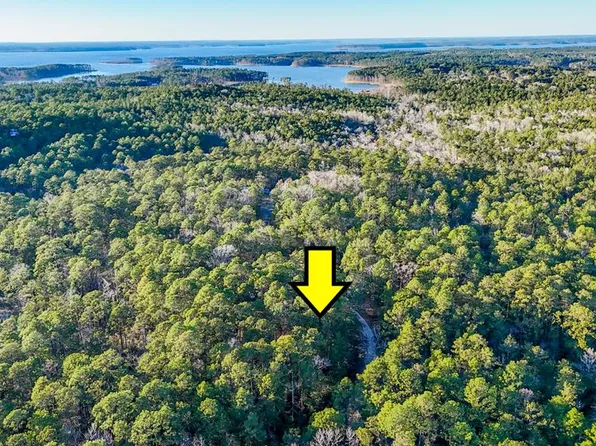 149 Senita Dr, Brookeland, TX 75931