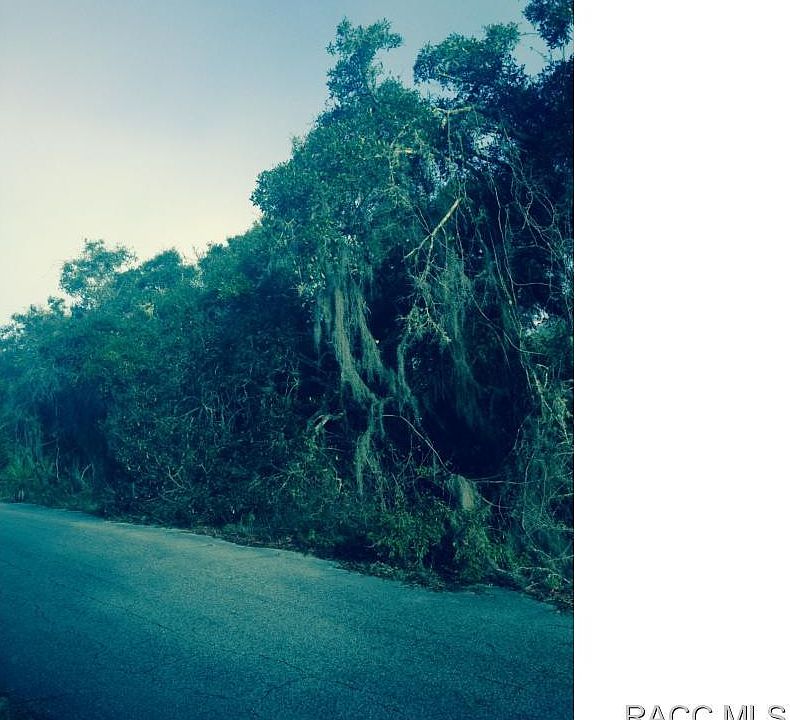 2nd image of 7081 E Anella Ct